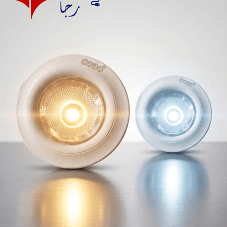 RAJA LED COB Downlight Adjustable 3-CCT 9W/15W